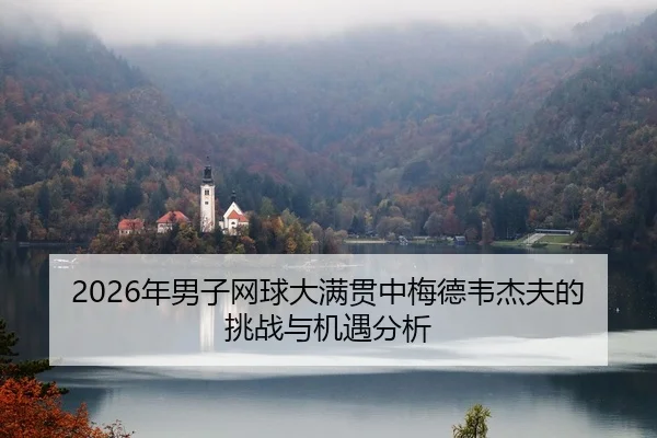 nian-nan-zi-wang-qiu-da-man-guan-zhong-mei-de-wei-jie-fu-de-tiao-zhan-yu-ji-yu-fen-xi-2-819.jpg