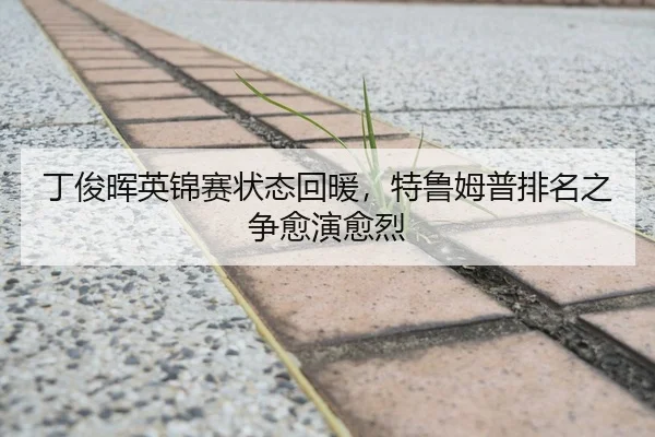 丁俊晖英锦赛状态回暖，特鲁姆普排名之争愈演愈烈