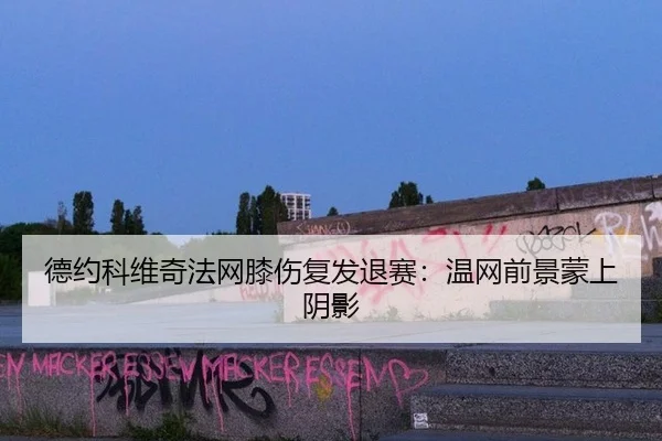 de-yue-ke-wei-qi-fa-wang-xi-shang-fu-fa-tui-sai-wen-wang-qian-jing-meng-shang-yin-ying-2-592.jpg