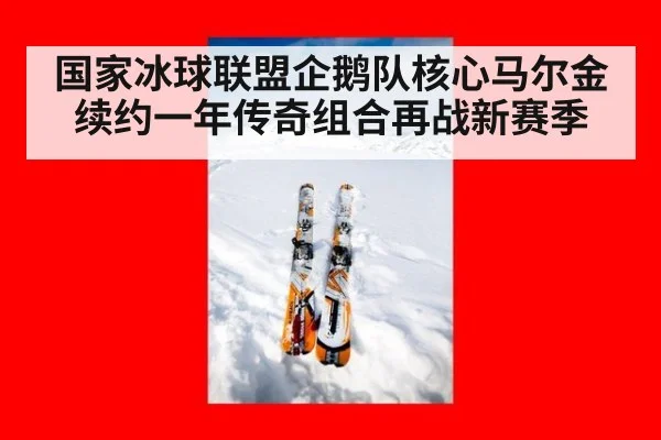 国家冰球联盟企鹅队核心马尔金续约一年传奇组合再战新赛季
